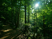 Smoky Mountains National Park