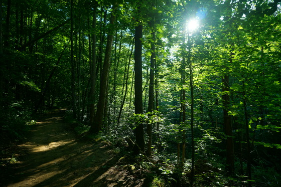 Smoky Mountains National Park