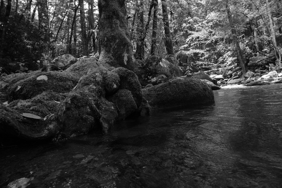 Smoky Mountains national park
