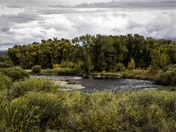 Curecanti National Recreation Area