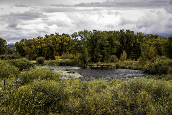Curecanti National Recreation Area