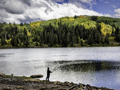 Gunnison National Forest