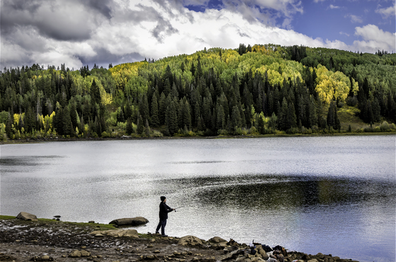 Gunnison National Forest