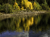 Gunnison National Forest