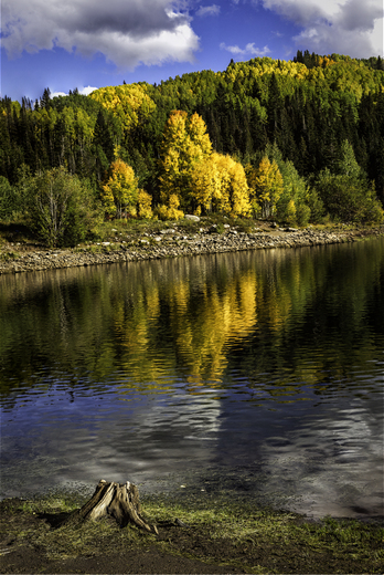 Gunnison National Forest