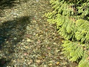 Glacier National Park