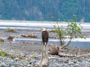 Wrangell St. Elias National Park