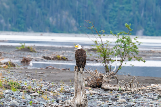 Wrangell St. Elias National Park