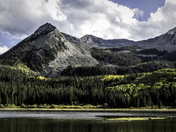 Gunnison National Forest