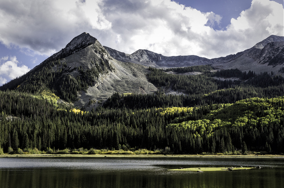 Gunnison National Forest