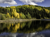 Gunnison National Forest