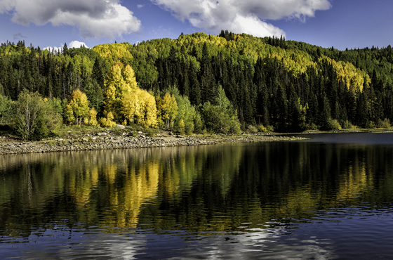 Gunnison National Forest