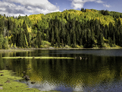 Gunnison National Forest
