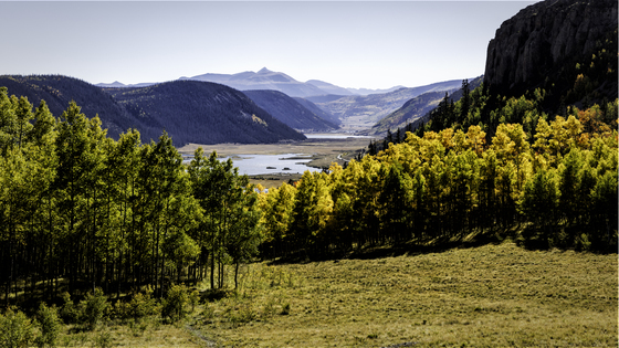 Rio Grande National Forest