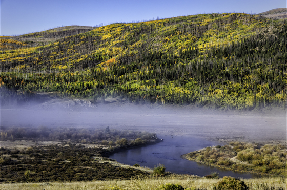 Rio Grande National Forest