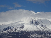 Shasta-Trinity National Forest