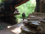 Jedediah National Park, California 