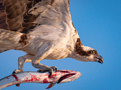Gulf Islands National Seashore