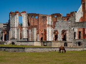 Cumberland Island National Seashore