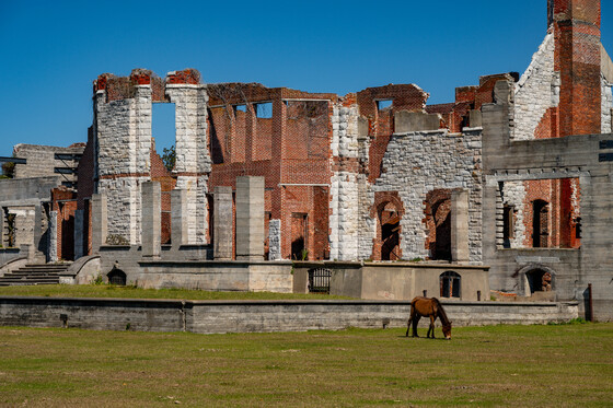 Cumberland Island National Seashore