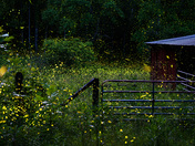 Great Smoky Mountains National Park