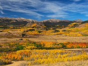 Pike National forest