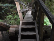 Olympic National Park