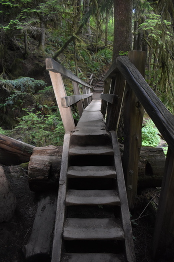 Olympic National Park