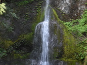 Olympic National Park