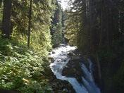 Olympic National Park