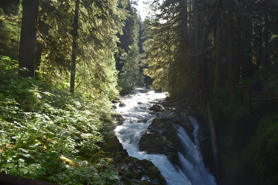Olympic National Park