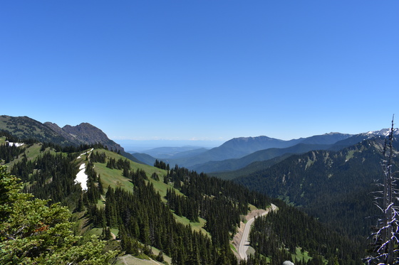 Olympic National Park