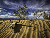 Death Valley National Park