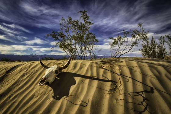 Death Valley National Park