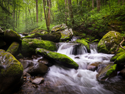 Great Smoky Mountains National Park