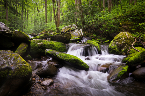 Great Smoky Mountains National Park