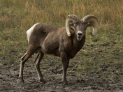 Rocky Mountain National Park