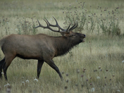 Rocky Mountain National Park