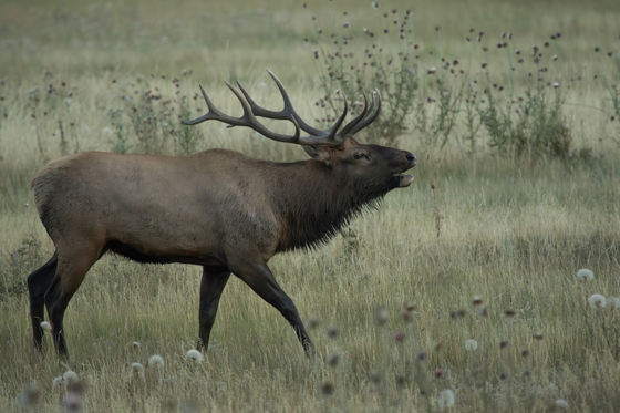 Rocky Mountain National Park