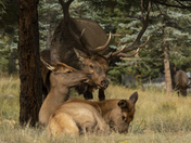 Rocky Mountain National Park