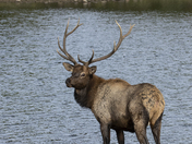 Rocky Mountain National Park