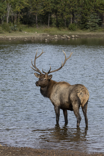 Rocky Mountain National Park
