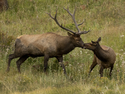 Rocky Mountain National Park