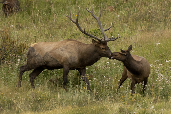 Rocky Mountain National Park