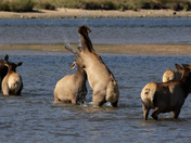 Rocky Mountain National Park