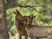Rocky Mountain National Park