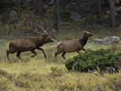 Rocky Mountain National Park