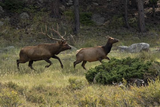Rocky Mountain National Park