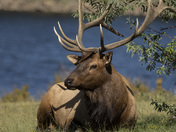 Rocky Mountain National Park