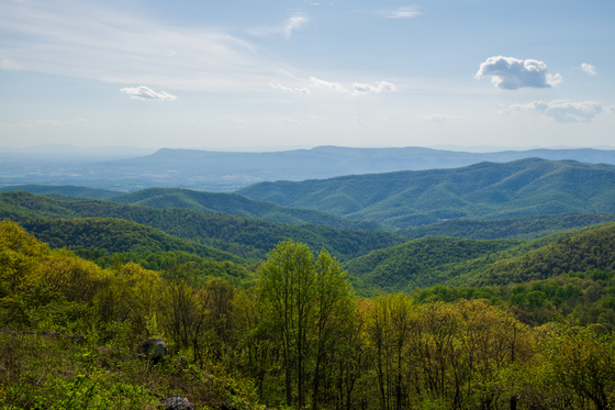 Shenandoah National Park